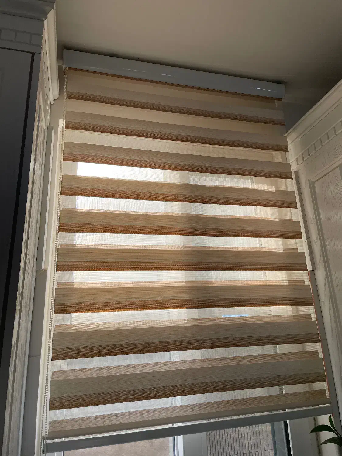 پرده مارک زبرا|پرده، رانر، رومیزی|مشهد, ویلاشهر|دیوار