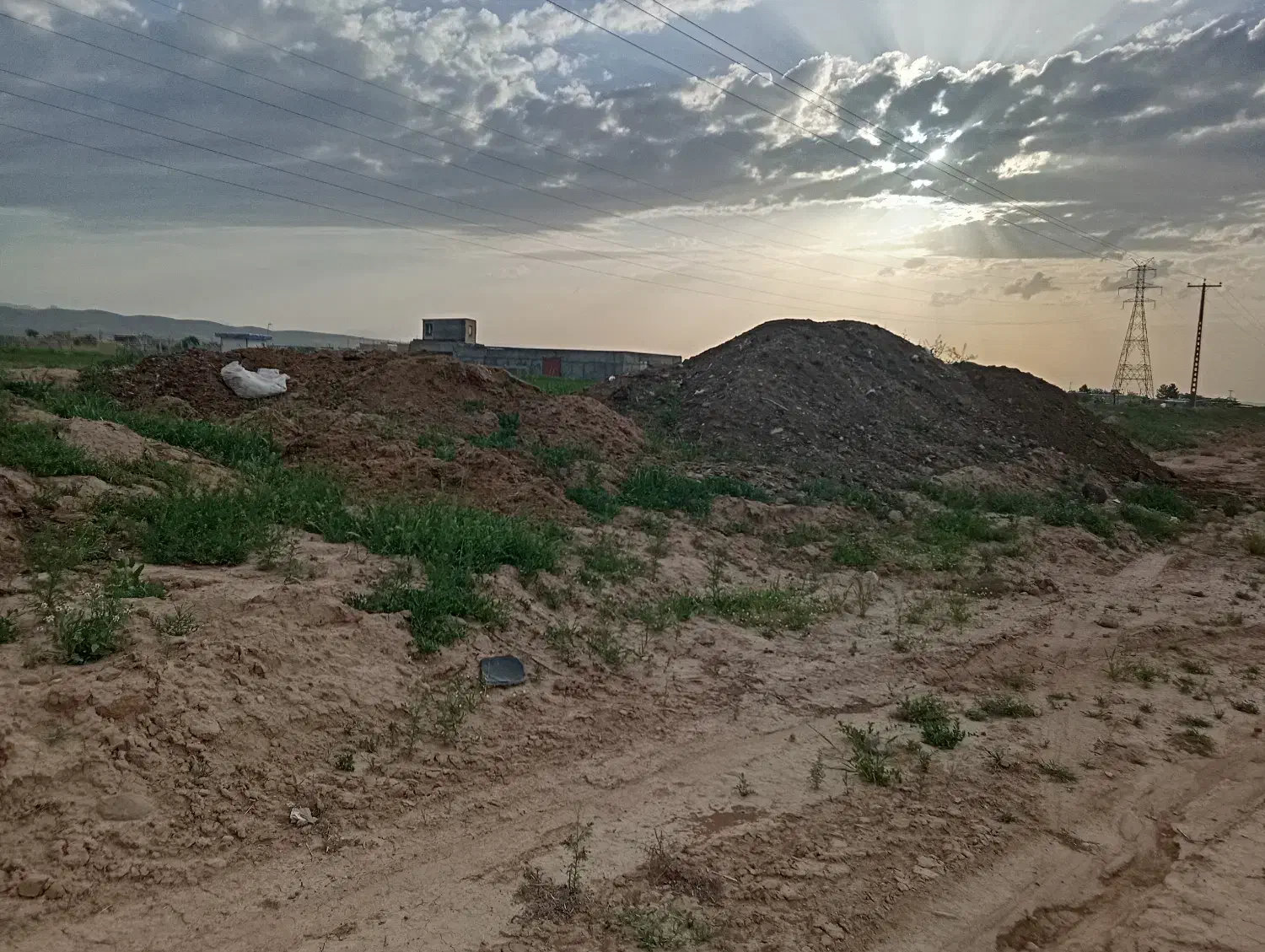 با گوسفندی وگاوی ومرغی|خدمات باغبانی و درختکاری|قوچان, |دیوار