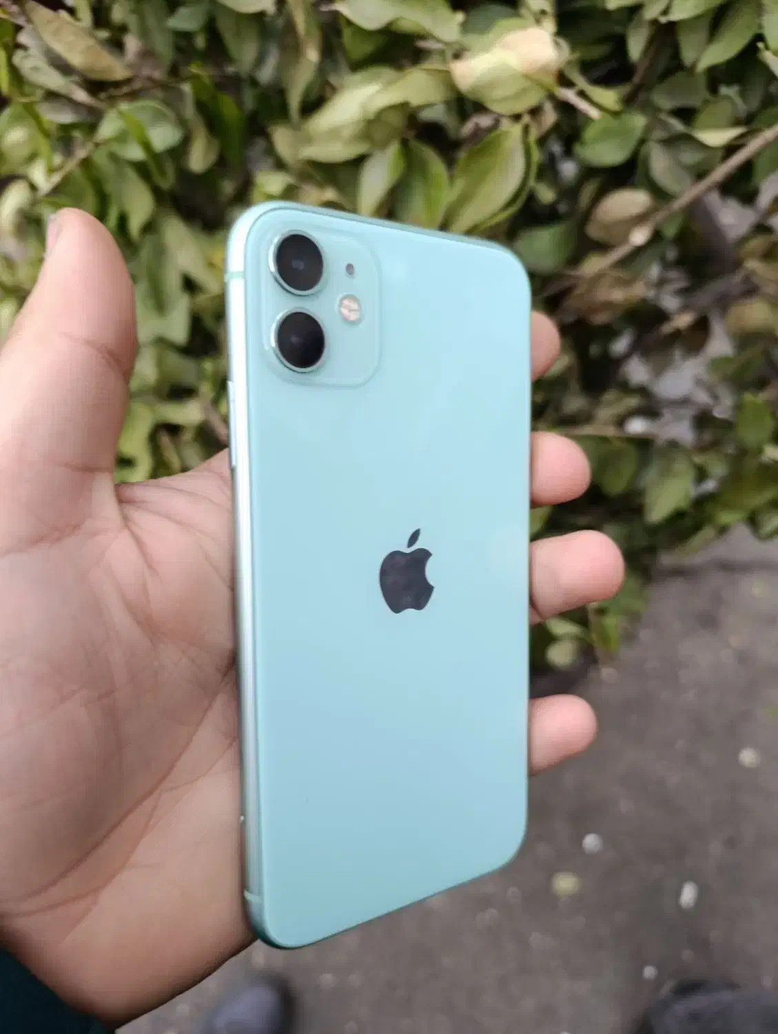 ایفون ۱۱  تک سیم در حد نو|موبایل|رشت, بازار|دیوار