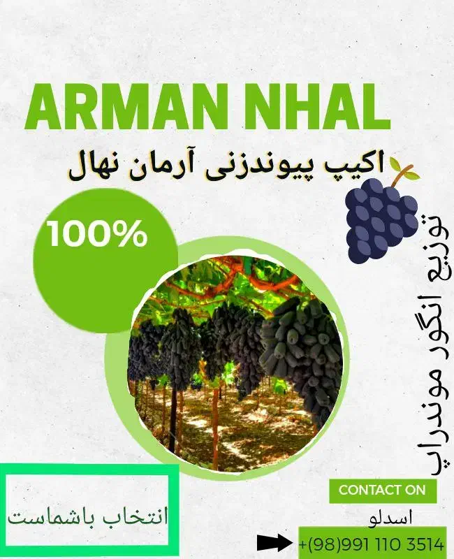 طراحی بنر تبلیغاتی برای معرفی افراد مهم|خدمات رایانه‌ای و موبایل|خوی, |دیوار