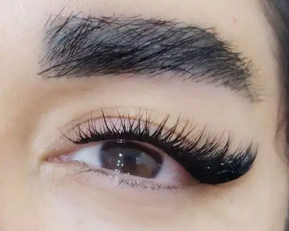 تخفیفات دو روزه ویژه یلدایی کاشت مژه فقط 100تومن|خدمات آرایشگری و زیبایی|رشت, جهاد|دیوار