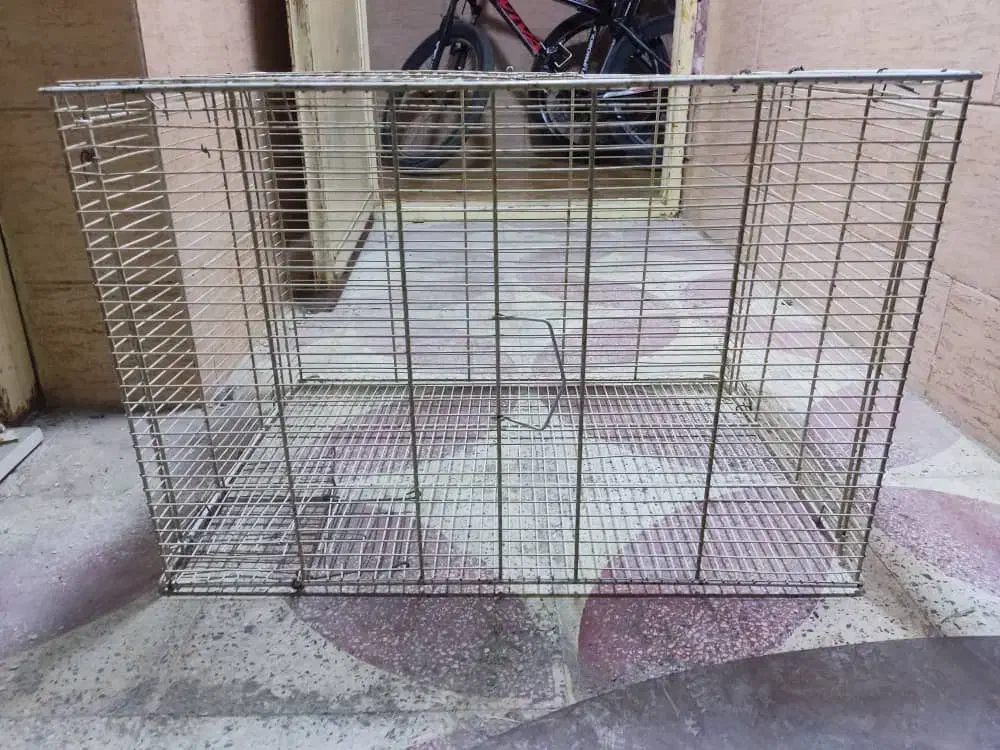 قفس بزرگ|لوازم جانبی حیوانات|مرودشت, ابوذر شمالی|دیوار