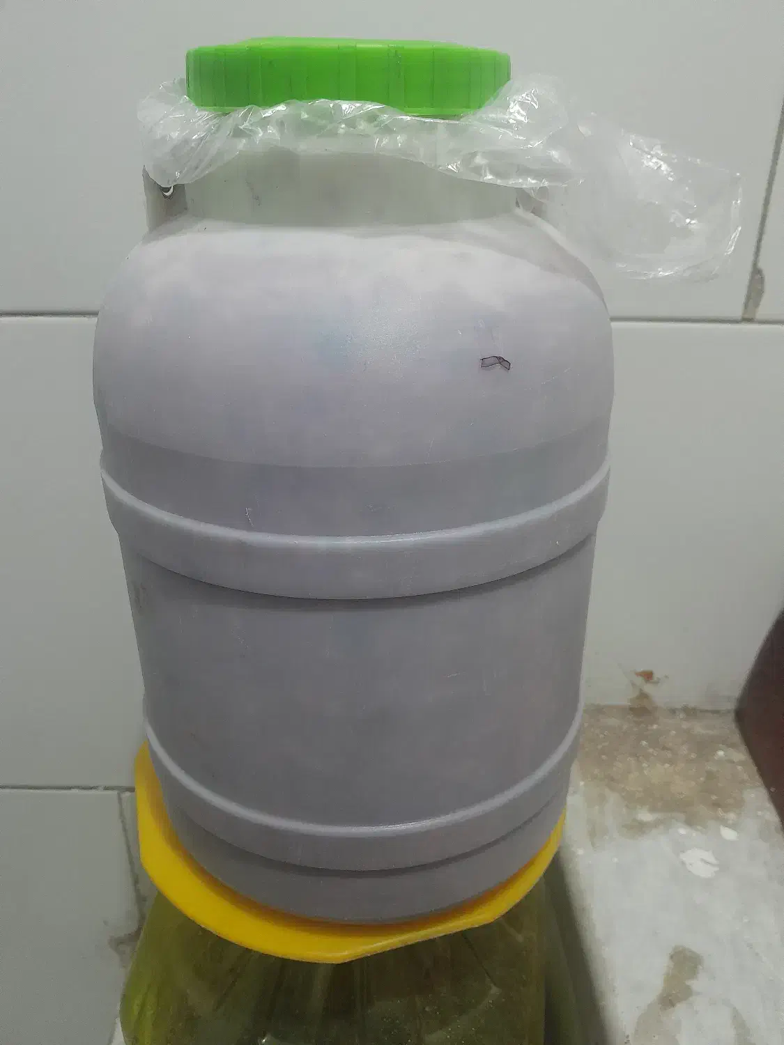 ترشی کلم قرمز|خوردنی و آشامیدنی|خمینی‌شهر, |دیوار