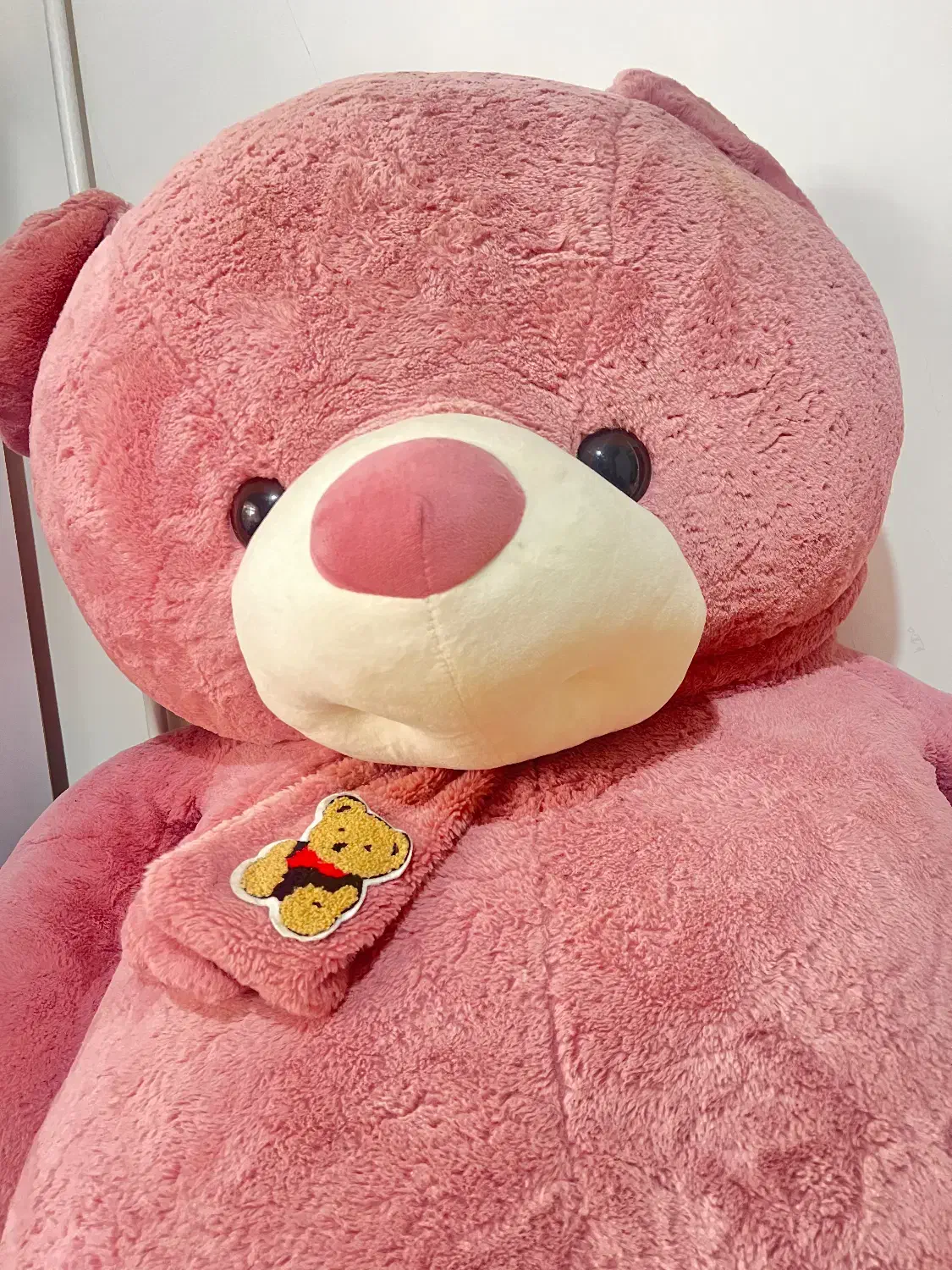 عروسک بزرگ خرس|اسباببازی بچه|لاهیجان, قیام|دیوار