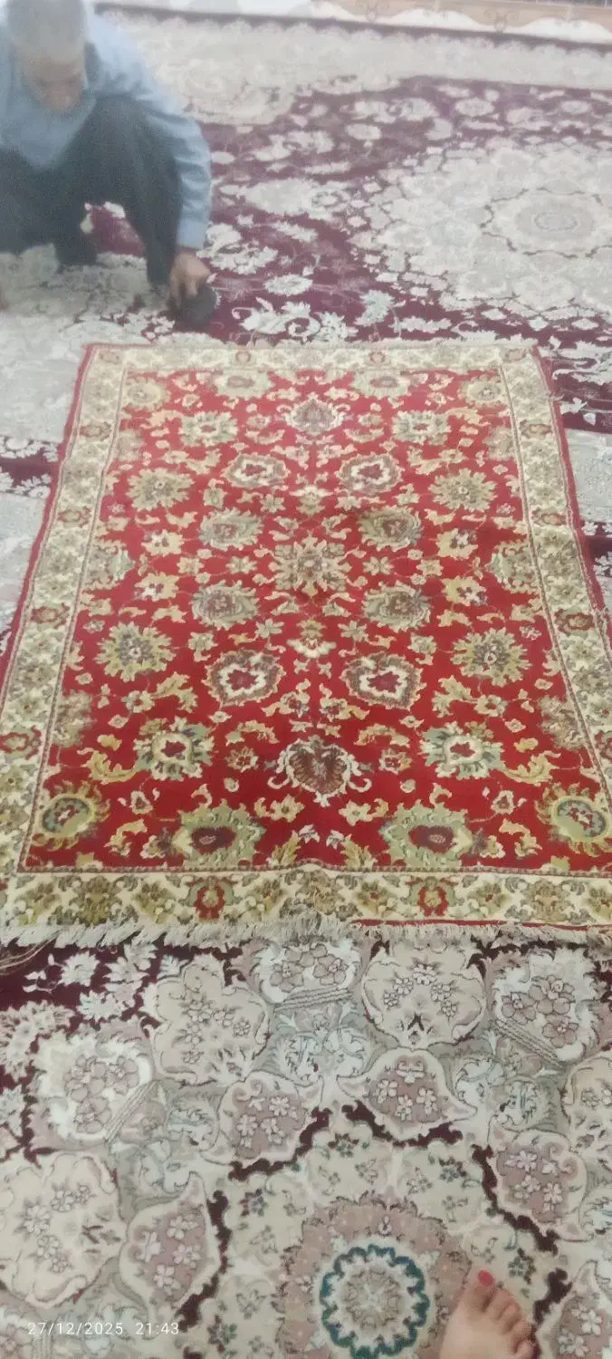 فرش 1/15|فرش|صحنه, |دیوار