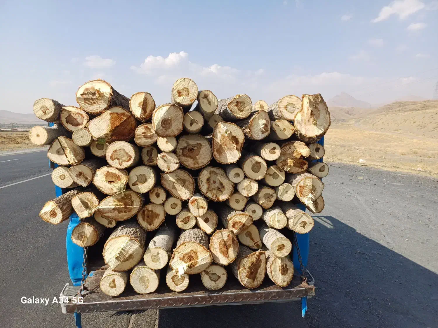 خرید چوب|خدمات باغبانی و درختکاری|ملایر, |دیوار