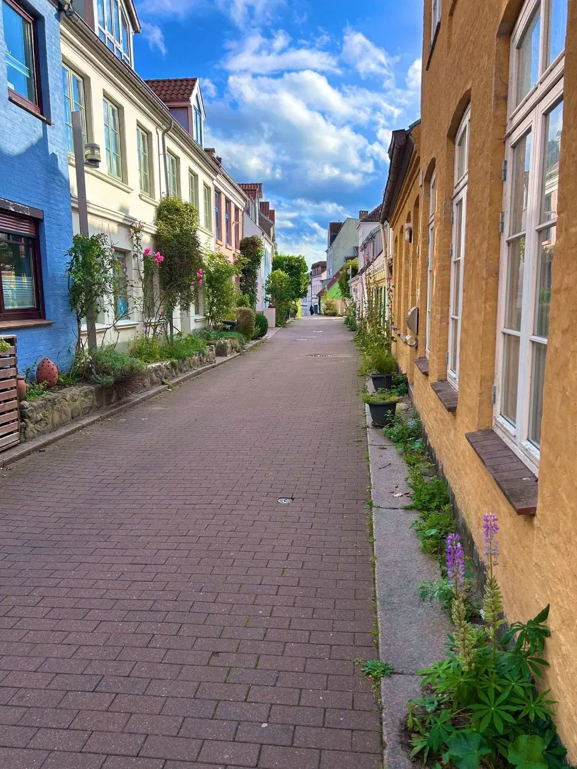 استخدام نیروی متاهل با منزل رایگان|استخدام صنعتی، فنی، مهندسی|رباط‌کریم, رباط‌کریم|دیوار