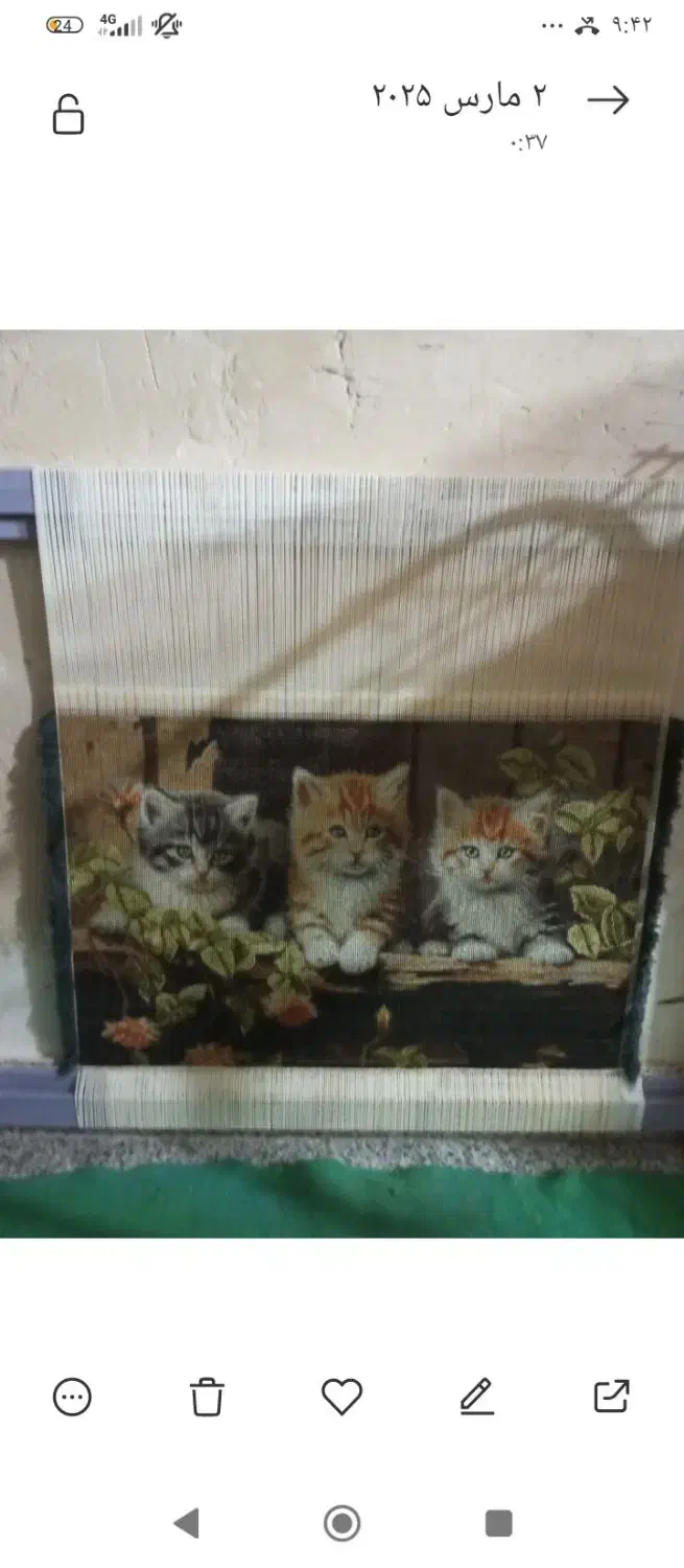 تابلو فرش و تمامی خدمات شینیون ومیکاپ،بندو اصلاح|تابلو فرش|مشگین شهر, |دیوار