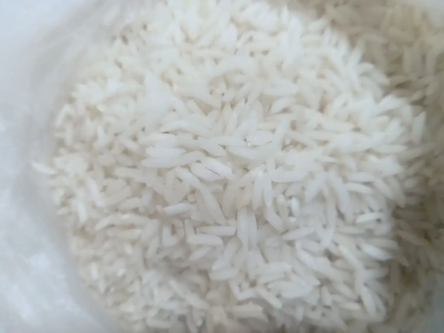 فروش برنج از تولید به مصرف|عمده‌فروشی|سنگر, |دیوار