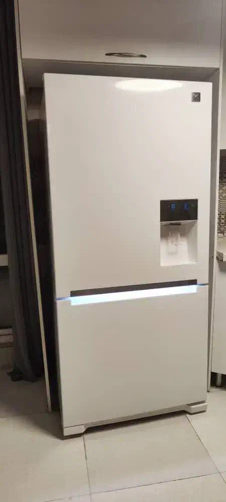 یخچال دوو|یخچال و فریزر|سیاهکل, |دیوار