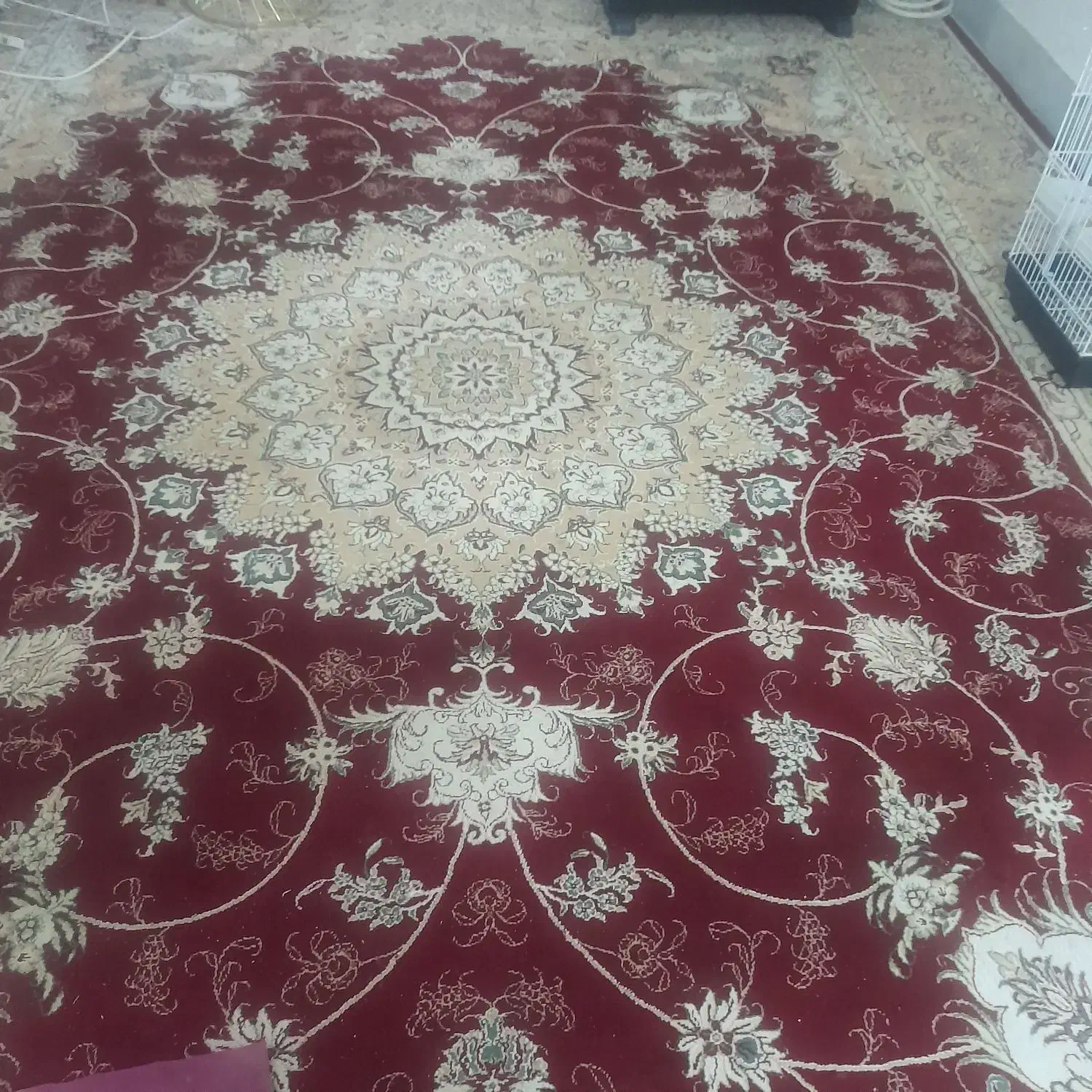 فرش|فرش|سبزوار, قائم|دیوار