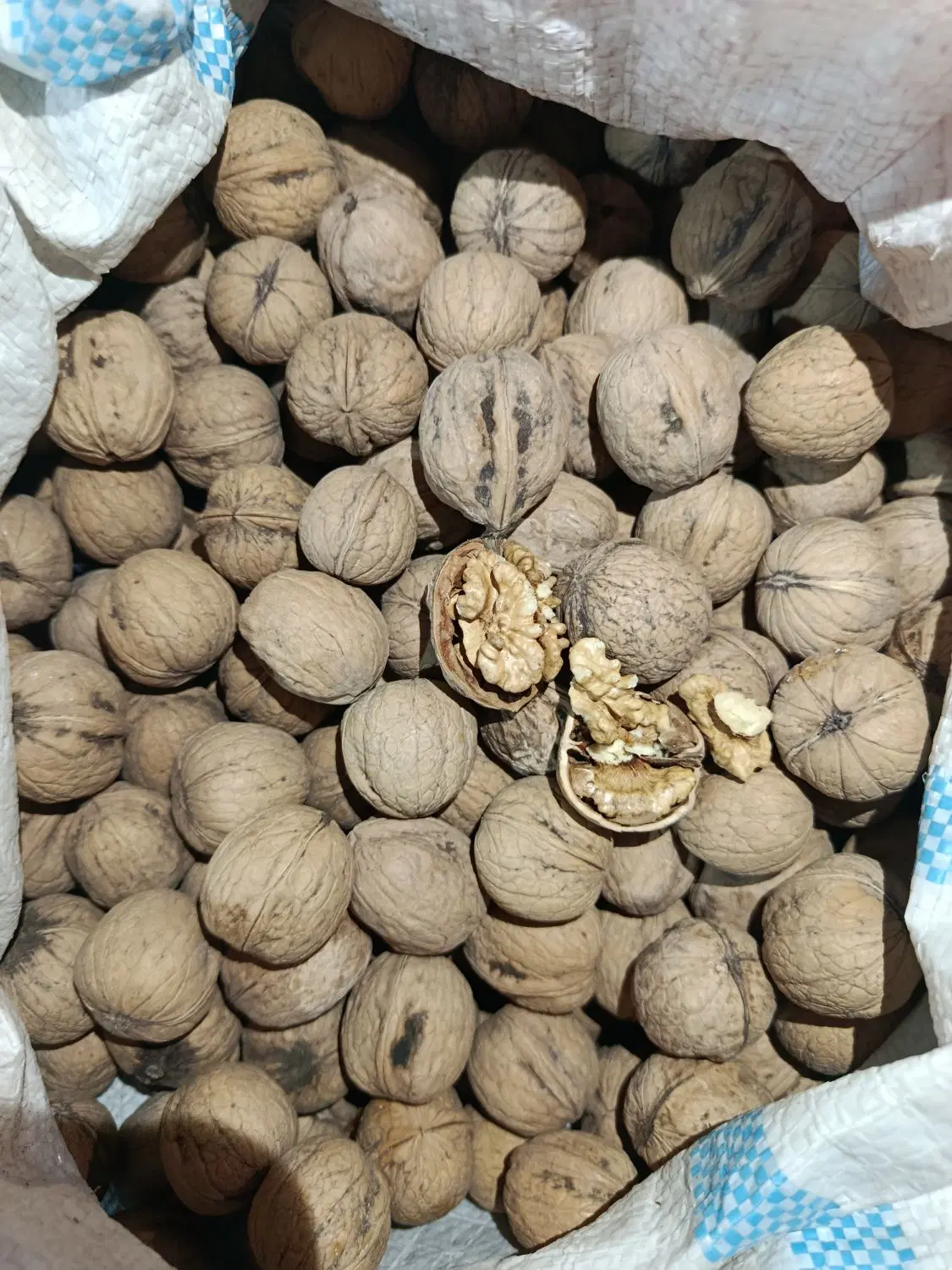 گردو|خوردنی و آشامیدنی|اردکان, |دیوار