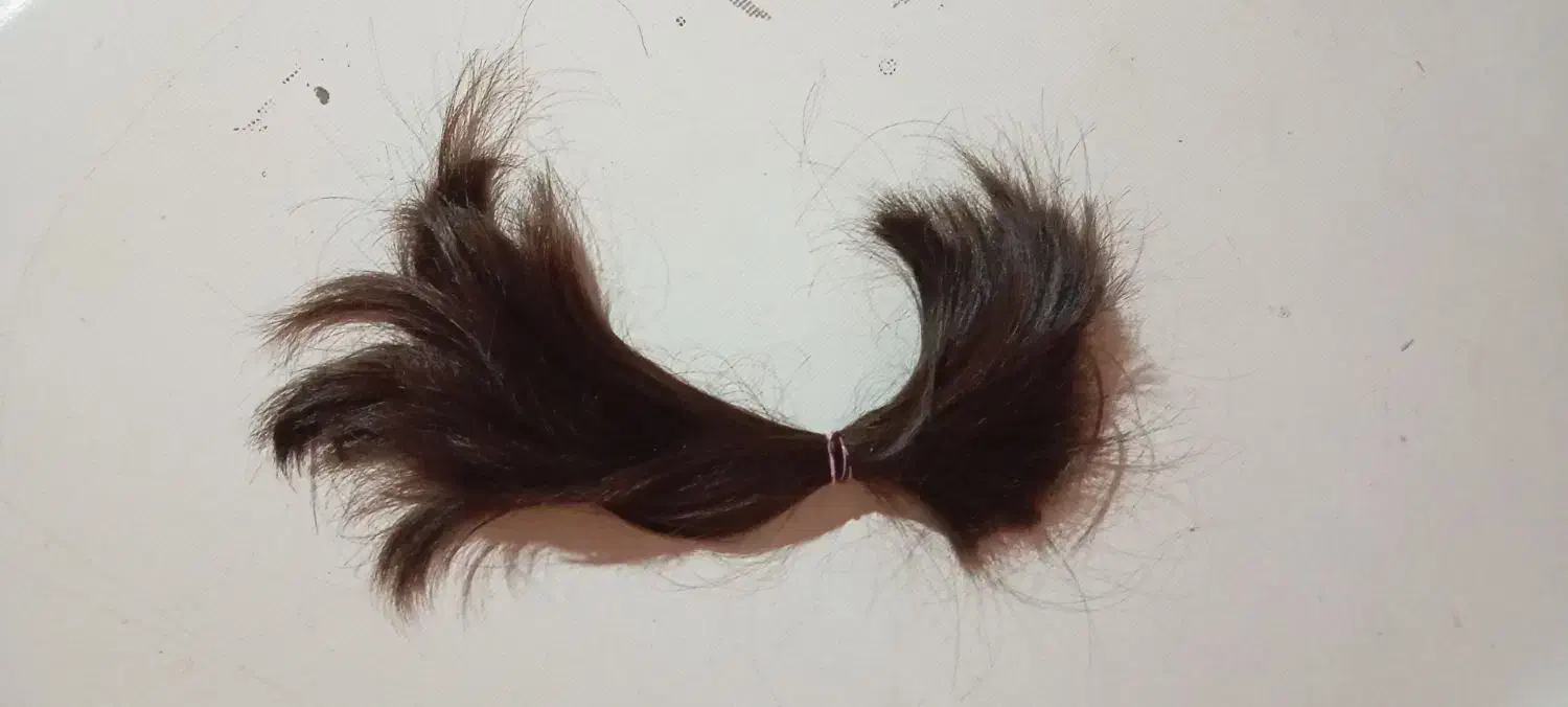 مورنگ طبیعی|آرایشی، بهداشتی، درمانی|شاهین‌شهر, سعدی شمالی|دیوار