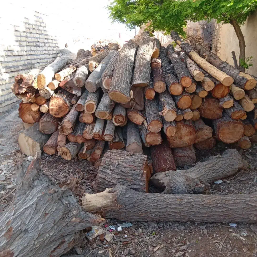 خرید انواع چوب|خدمات باغبانی و درختکاری|احمدآبادمستوفی, |دیوار