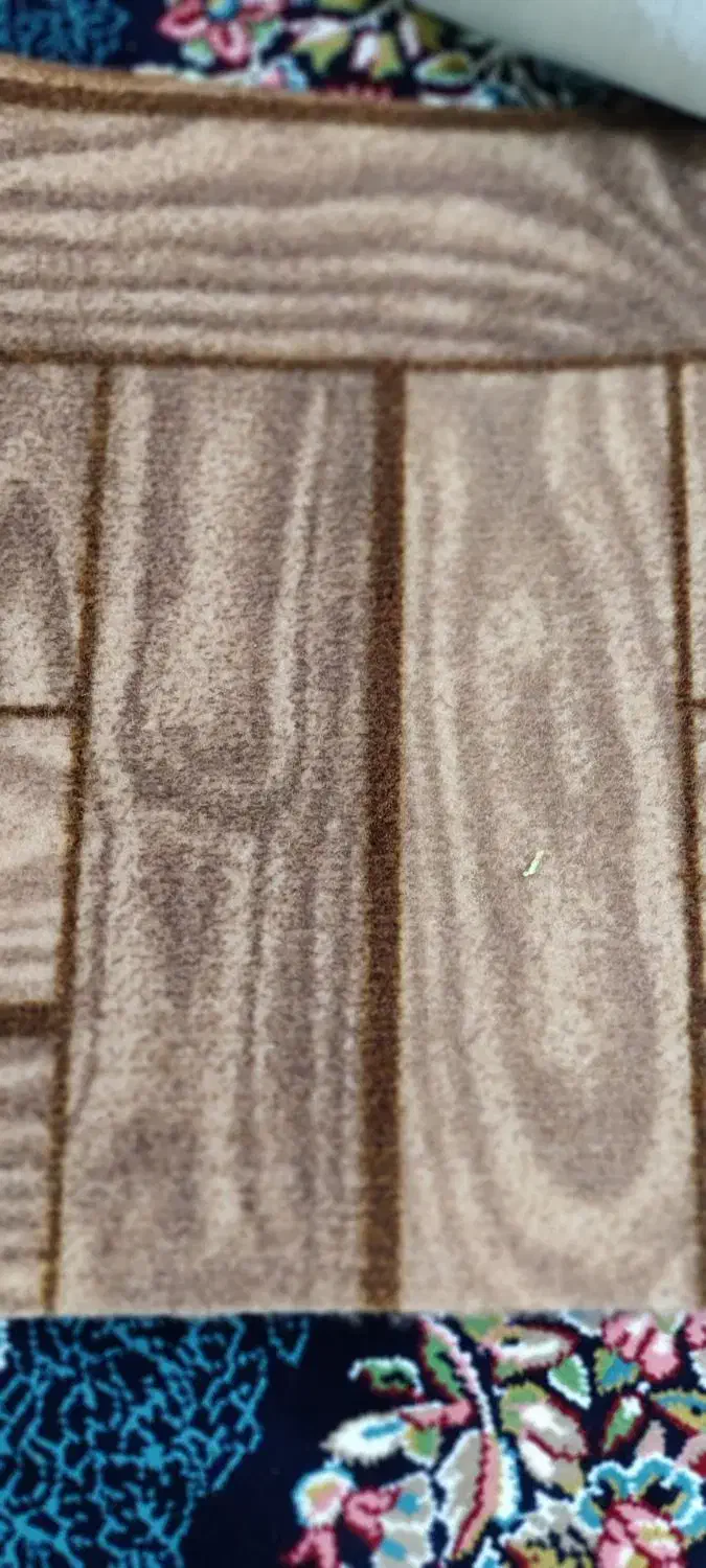 موکت سه تا ۶ متری|موکت|اقبالیه, |دیوار