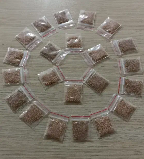 پودرشپش|آرایشی، بهداشتی، درمانی|اسدآباد, |دیوار