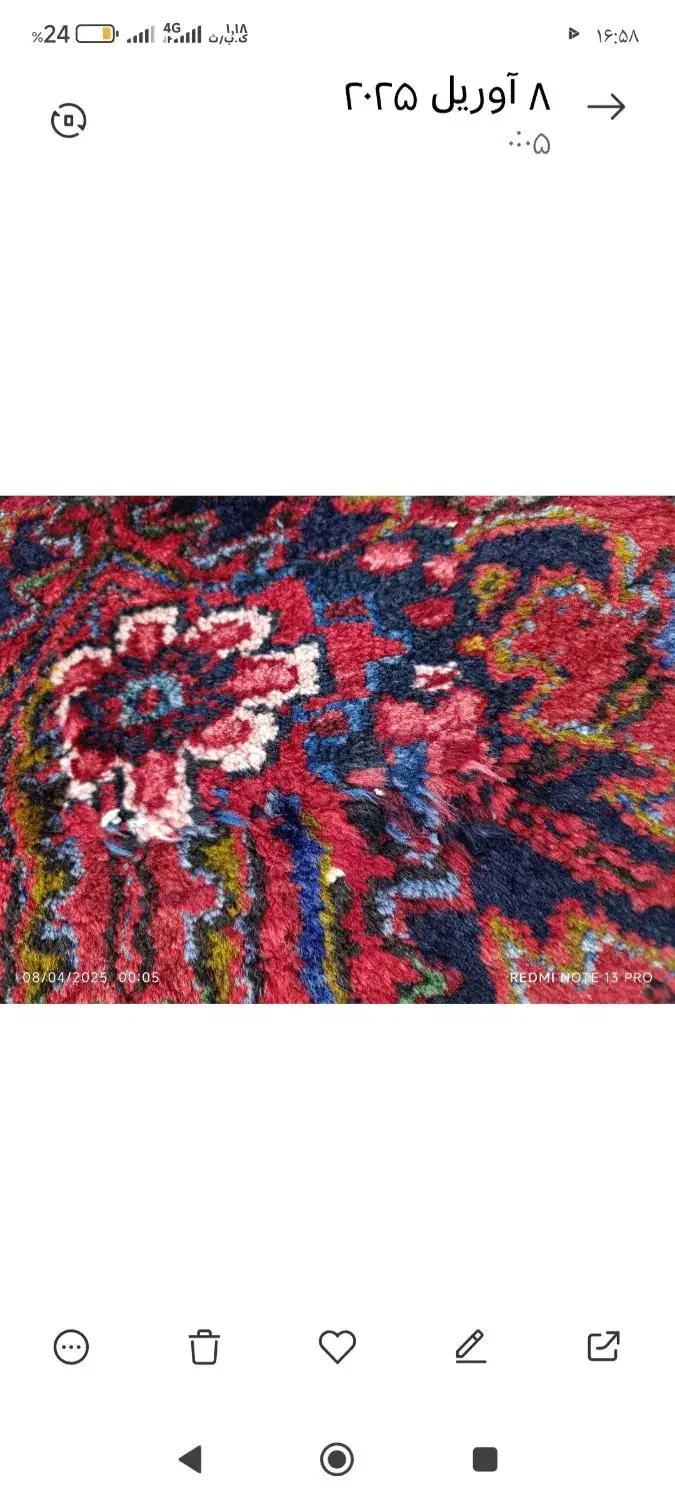 فرش شربیان 12 متری|فرش|میاندوآب, |دیوار