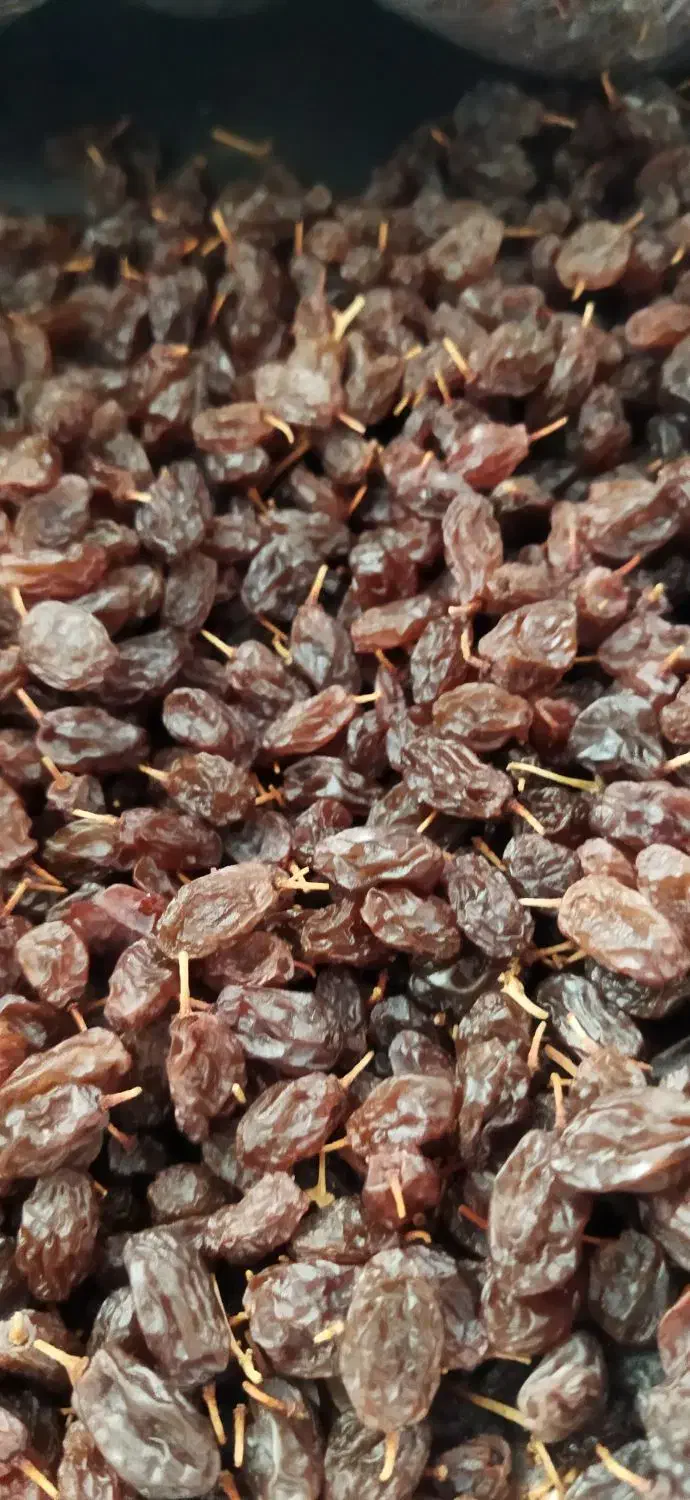 کشمش آفتابی دانه درشت امسالی|خوردنی و آشامیدنی|عجب شیر, |دیوار