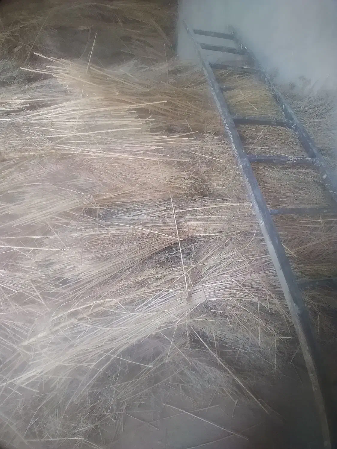 جارو مخصوص دسته|لوازم نظافت|نهاوند, |دیوار