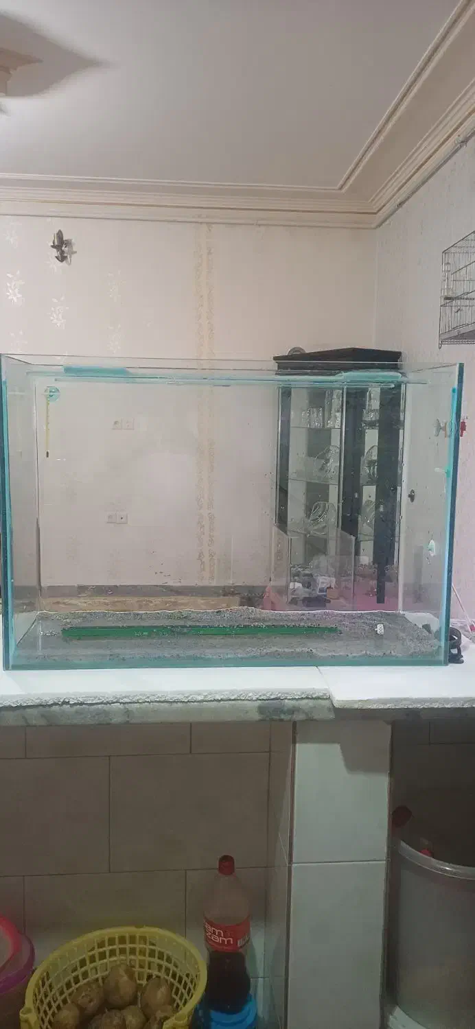 آکواریوم ماهی|ماهی|کرمانشاه, |دیوار