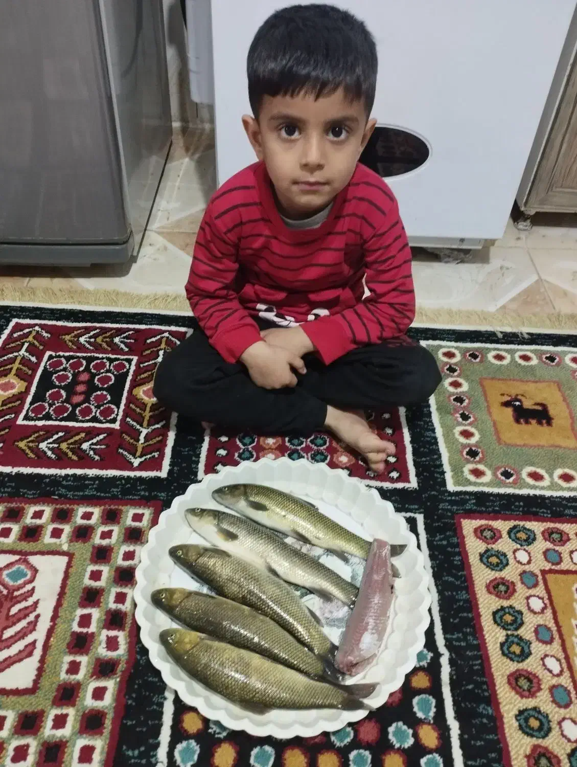 فروش ماهی صیدجغاتی هرروز|ماهی|شاهین دژ, |دیوار