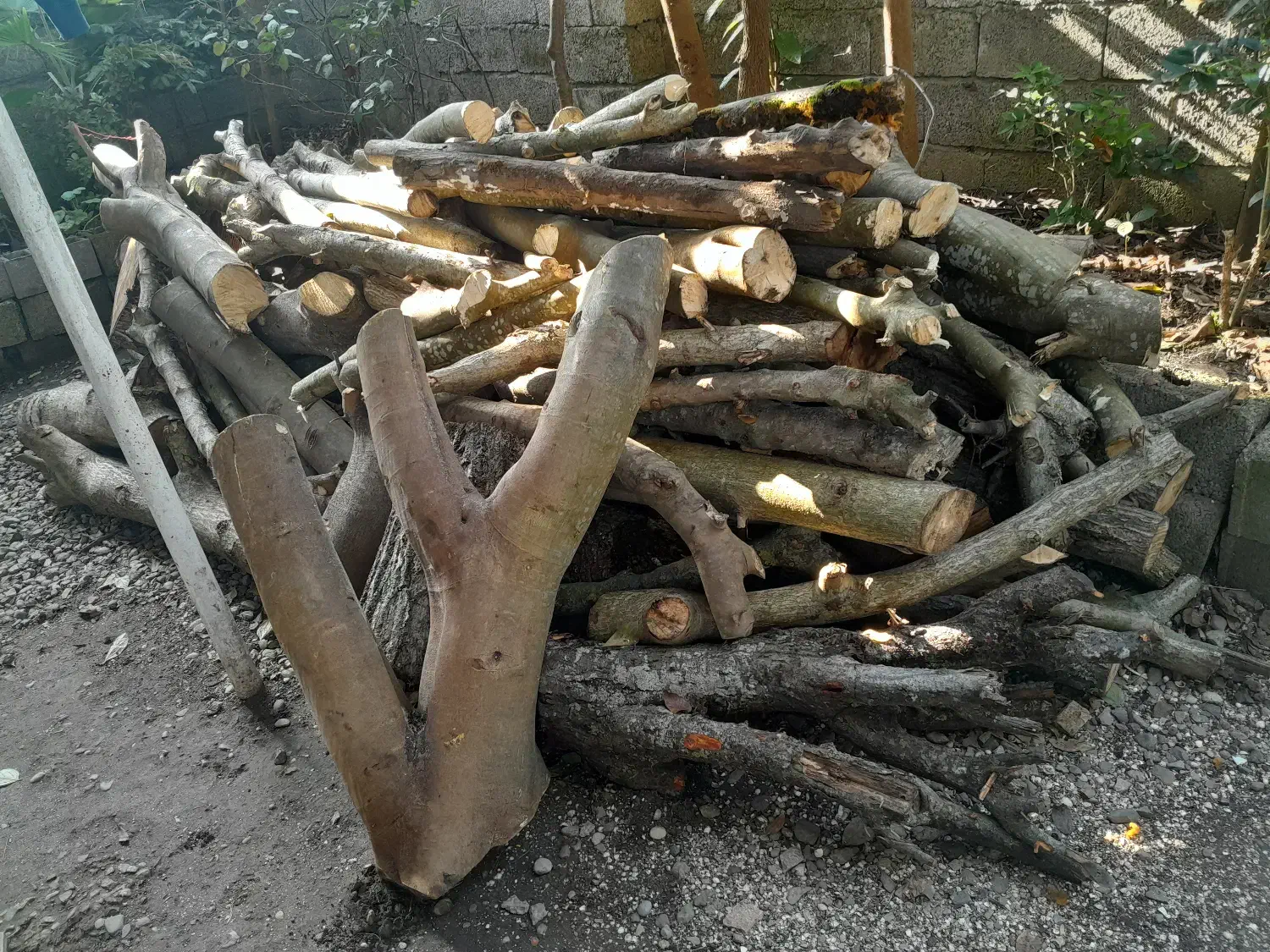 فروش چوب میوه ای وهیزم مقداردوتن|خدمات باغبانی و درختکاری|شلمان, |دیوار