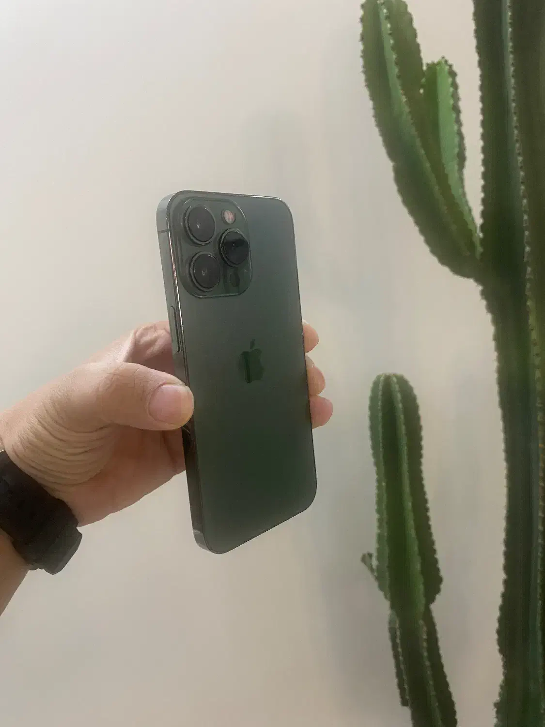 ۱۳ پرو zaa ۲۵۶|موبایل|تهران, تهرانپارس جنوبی|دیوار