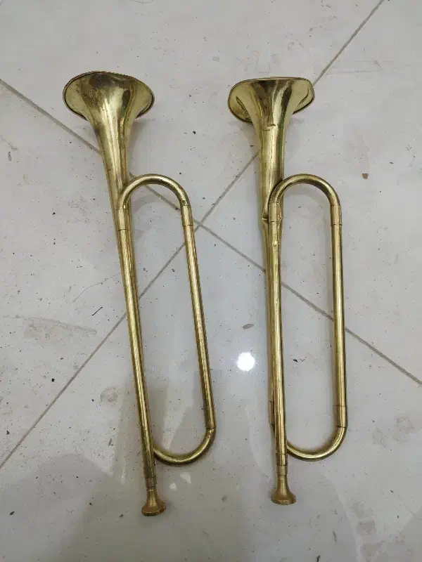 شیپور|سازهای بادی|اصفهان, راران|دیوار