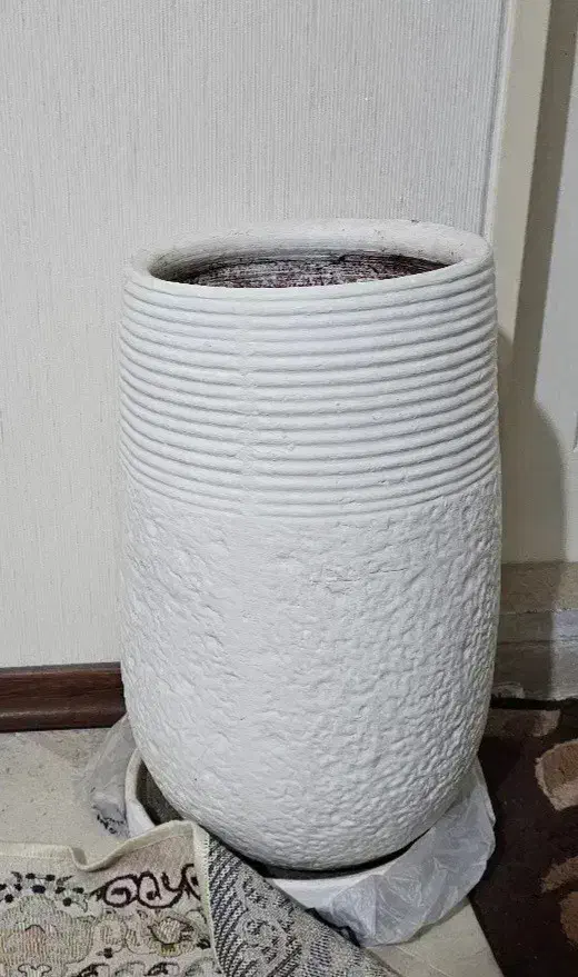 گلدان سفالی با زیر گلدان|گل و گیاه طبیعی|تهران, هفت حوض|دیوار