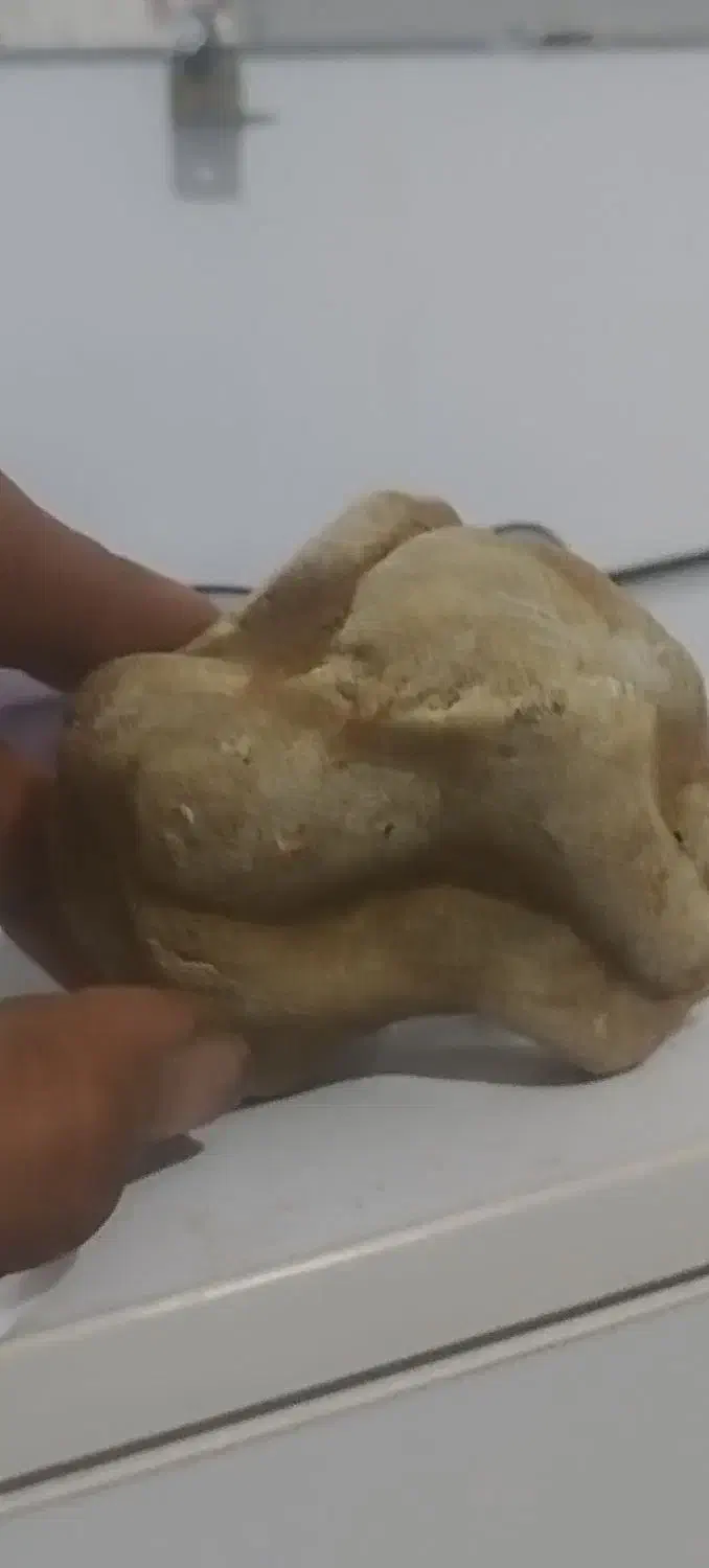 سنگ کلسیونی|کلکسیون اشیاء عتیقه|چهارباغ, |دیوار