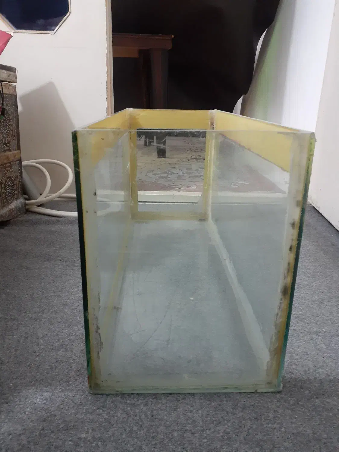 اکواریم|ماهی|بجنورد, |دیوار