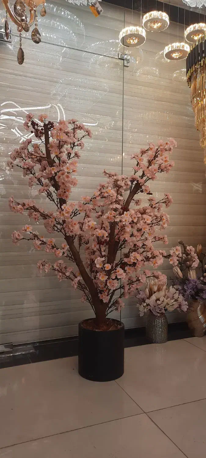 فروشنده درختچه گل ژاپنی و انواع اکسسوری لوکس|لوستر و چراغ آویز|دزفول, |دیوار