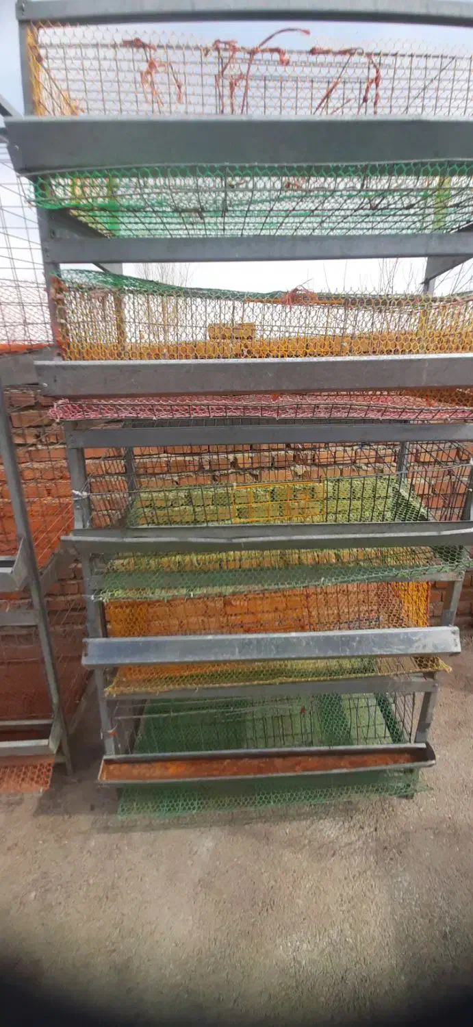 قفس ۵ طبقه بلدرچین|لوازم جانبی حیوانات|ارومیه, |دیوار