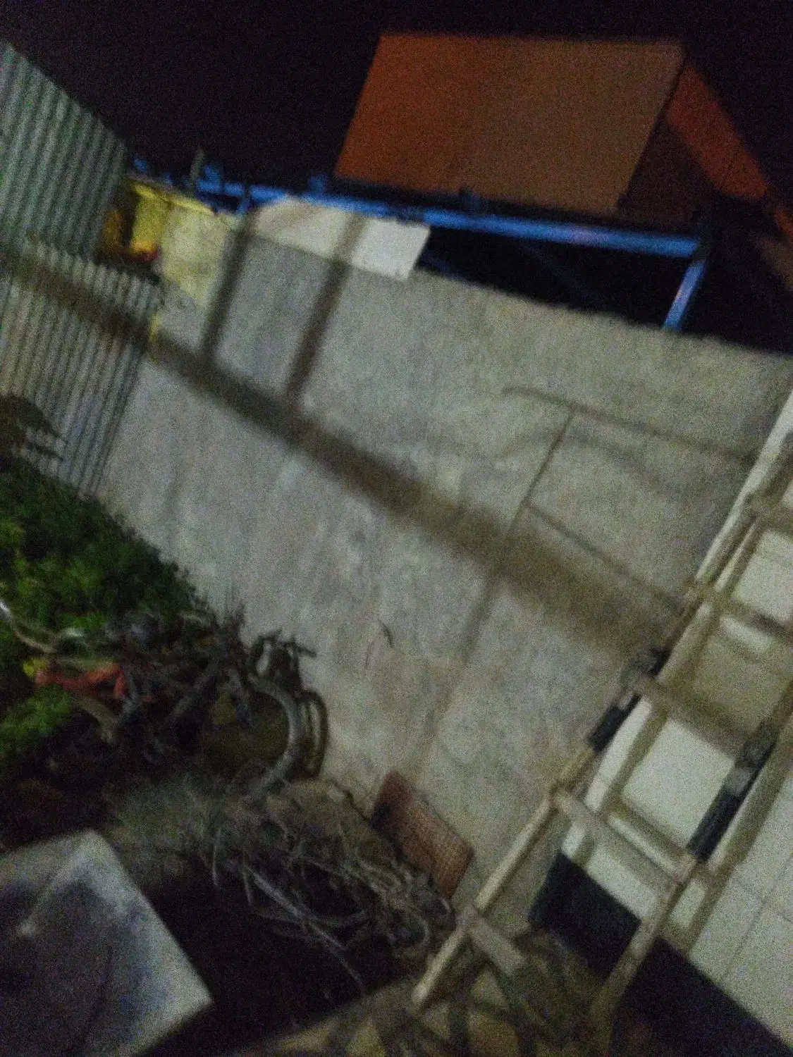 بنا سیمان،|خدمات پیشه و مهارت|برازجان, |دیوار