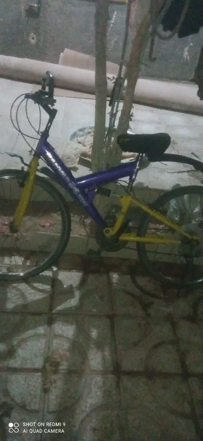 سه عدد دوچرخه به قیمت زایعات سالم|دوچرخه، اسکیت، اسکوتر|کاشمر, |دیوار