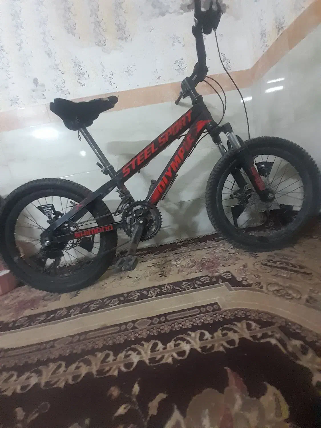 دوچرخه ۲۰|دوچرخه، اسکیت، اسکوتر|یزد, |دیوار