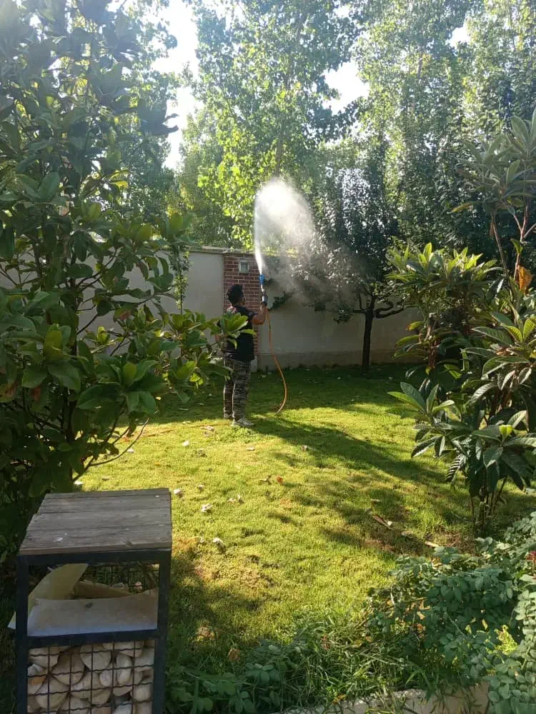 هرس کاری  سم پاشی بادستگاه بزرگ کوددهی شمشادزنی|خدمات باغبانی و درختکاری|کرج, کمال‌شهر|دیوار