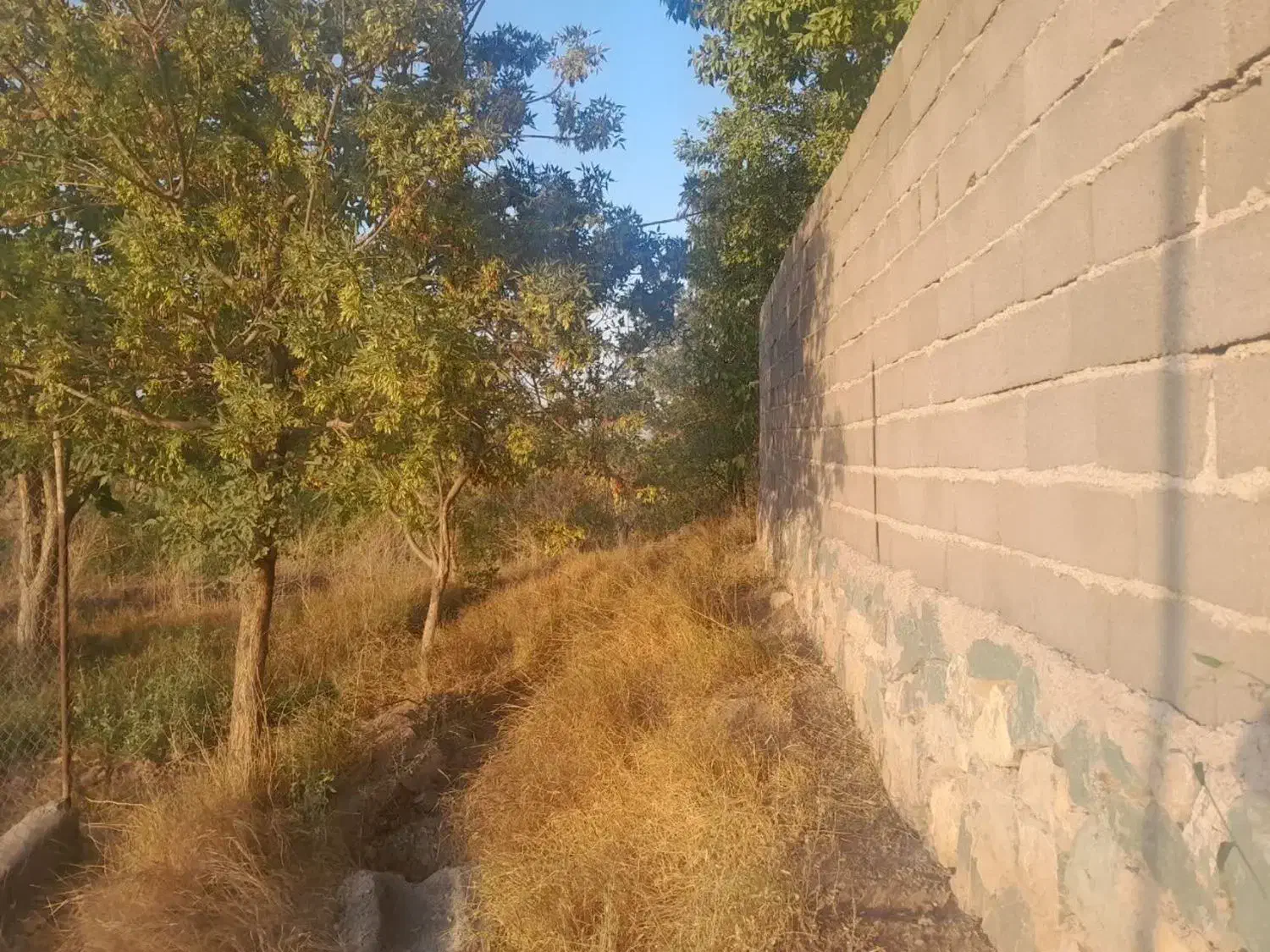 باغ ۱۱۰۰ متری با ویو رودخونه فنس کشی شده|فروش زمین و ملک کلنگی|خلجستان, |دیوار