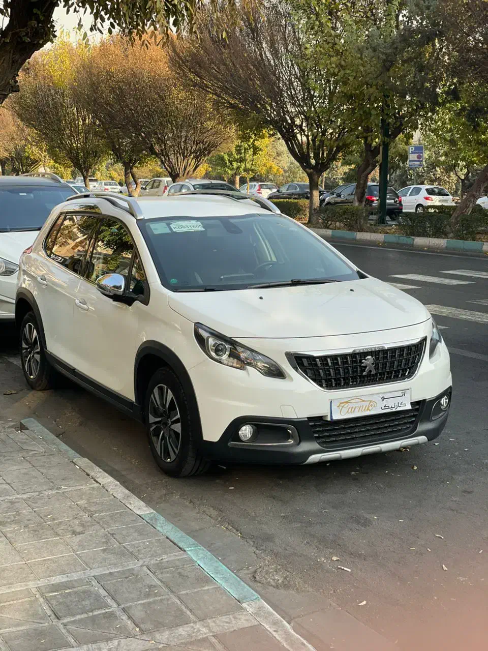 2008 1398 پژو|خودرو سواری و وانت|تهران, درختی|دیوار