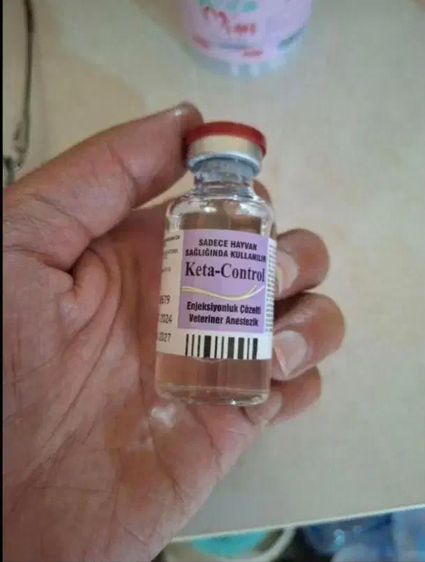 کتامین دامپزشکی 10٪|لوازم جانبی حیوانات|تهران, پردیسان|دیوار