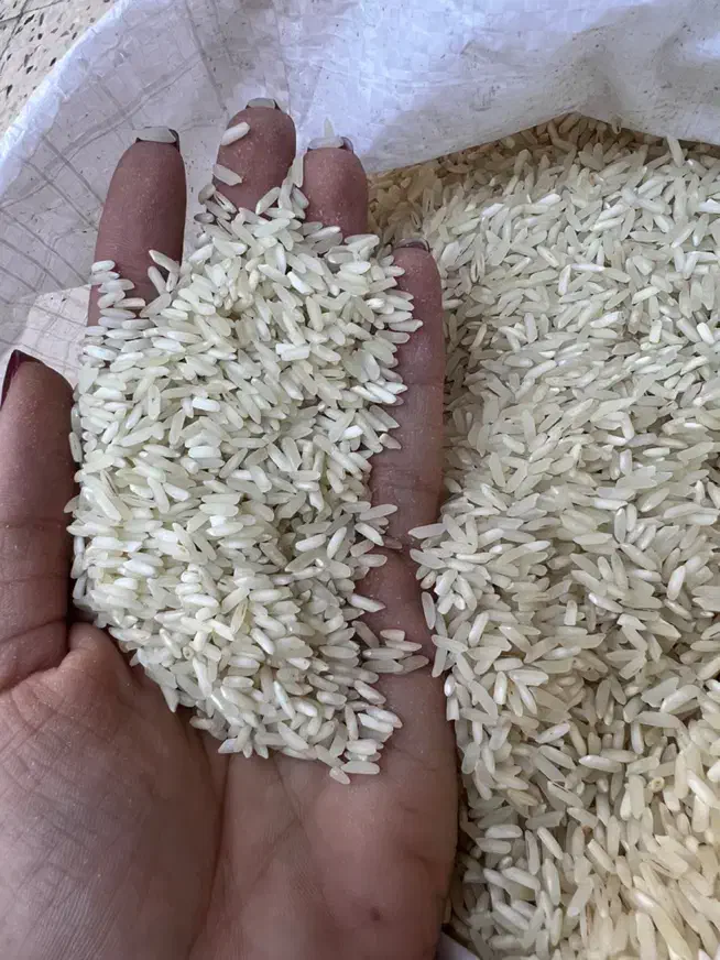 برنج ایرانی عنبربووچمپا بشرط فروش بصورت عمده وتکی|خوردنی و آشامیدنی|بندر گناوه, |دیوار