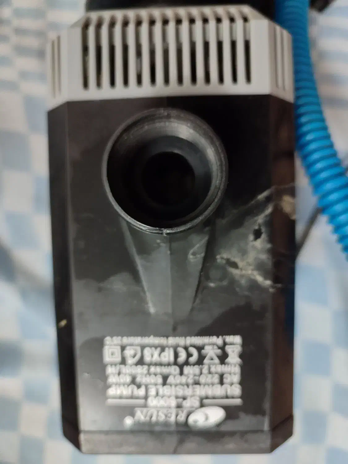 وسایل آکواریوم و ماهی کالر ارزان|ماهی|اردبیل, |دیوار