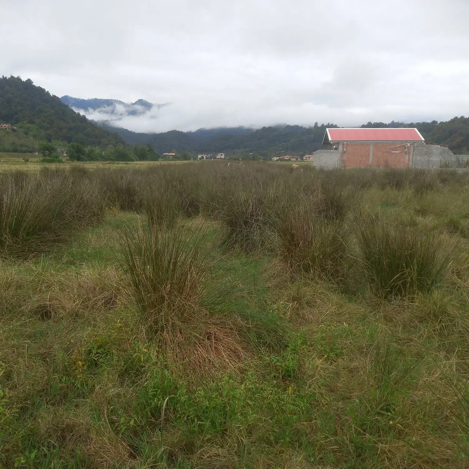 زمین فروشی وماوضه زمین باماشین وآپارتمان|پیشفروش املاک|تالش, هشتپر|دیوار