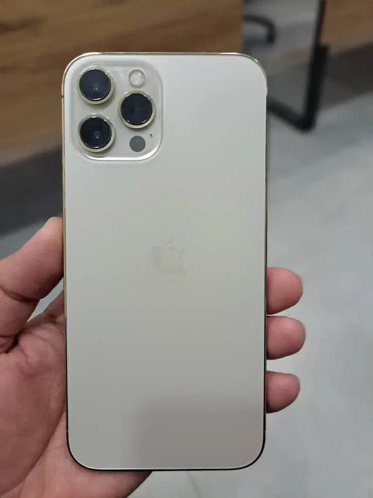 ۱۲پرومکس دوسیم ۲۵۶|موبایل|مشهد, دانشجو|دیوار