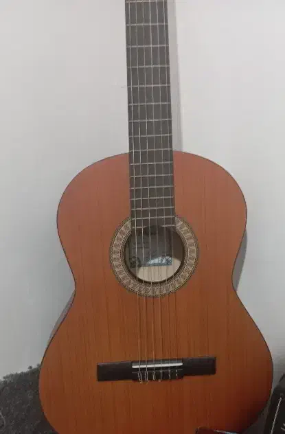 گیتار پارسی مدل پی هشتاد بهترین گیتار ایرانی کیف|گیتار، بیس، امپلیفایر|مشهد, توس (بلوار توس)|دیوار