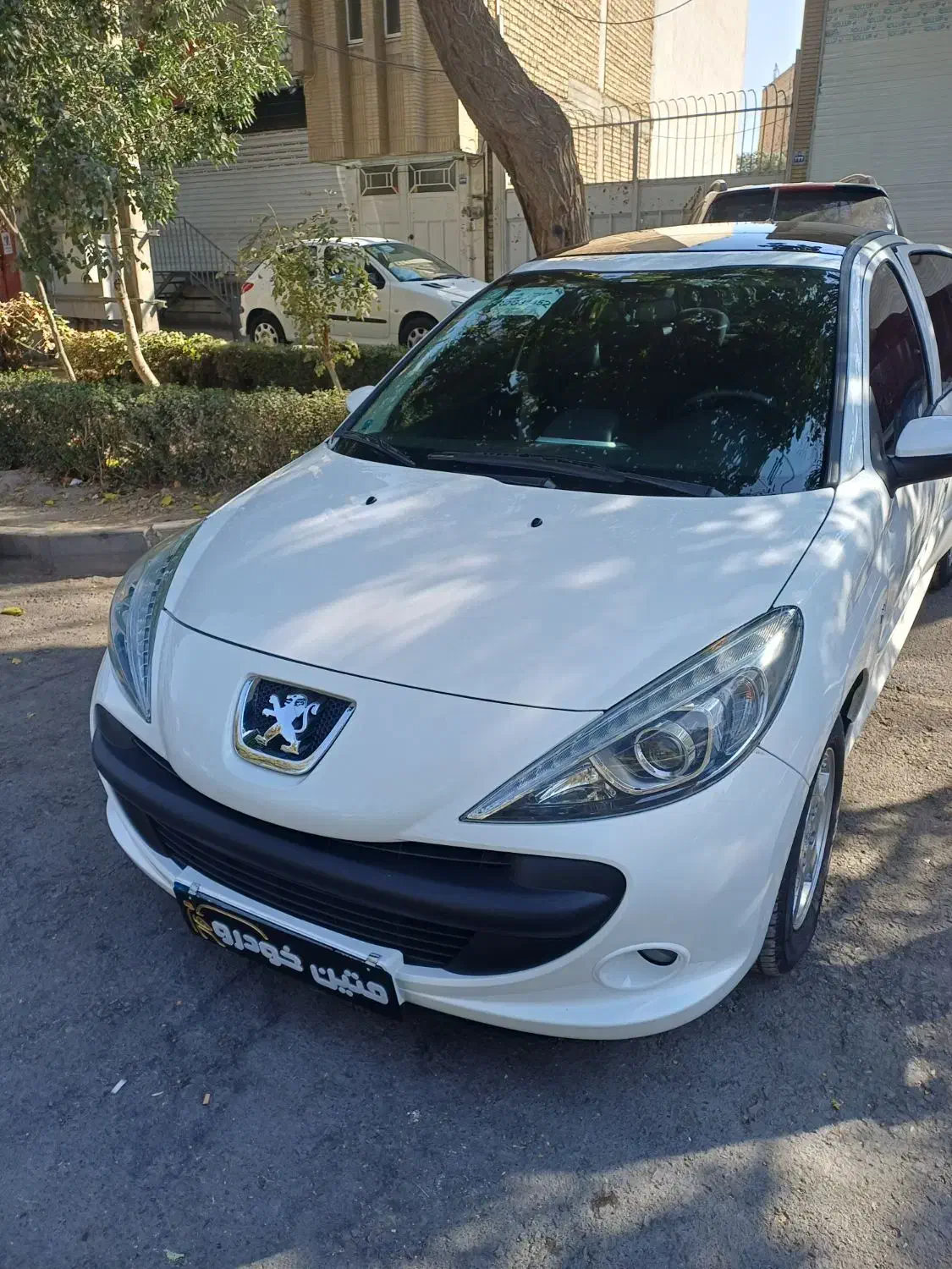 ۲۰۷ پانا ارتقا یافته قابل معاوضه|خودرو سواری و وانت|اصفهان, فروردین|دیوار