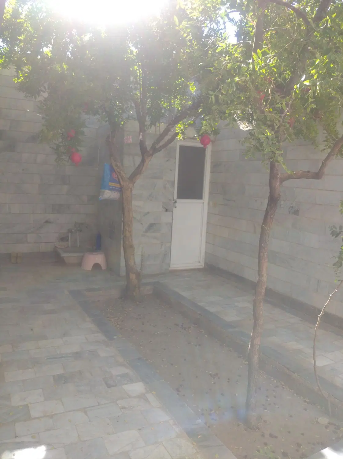 تصویر 5