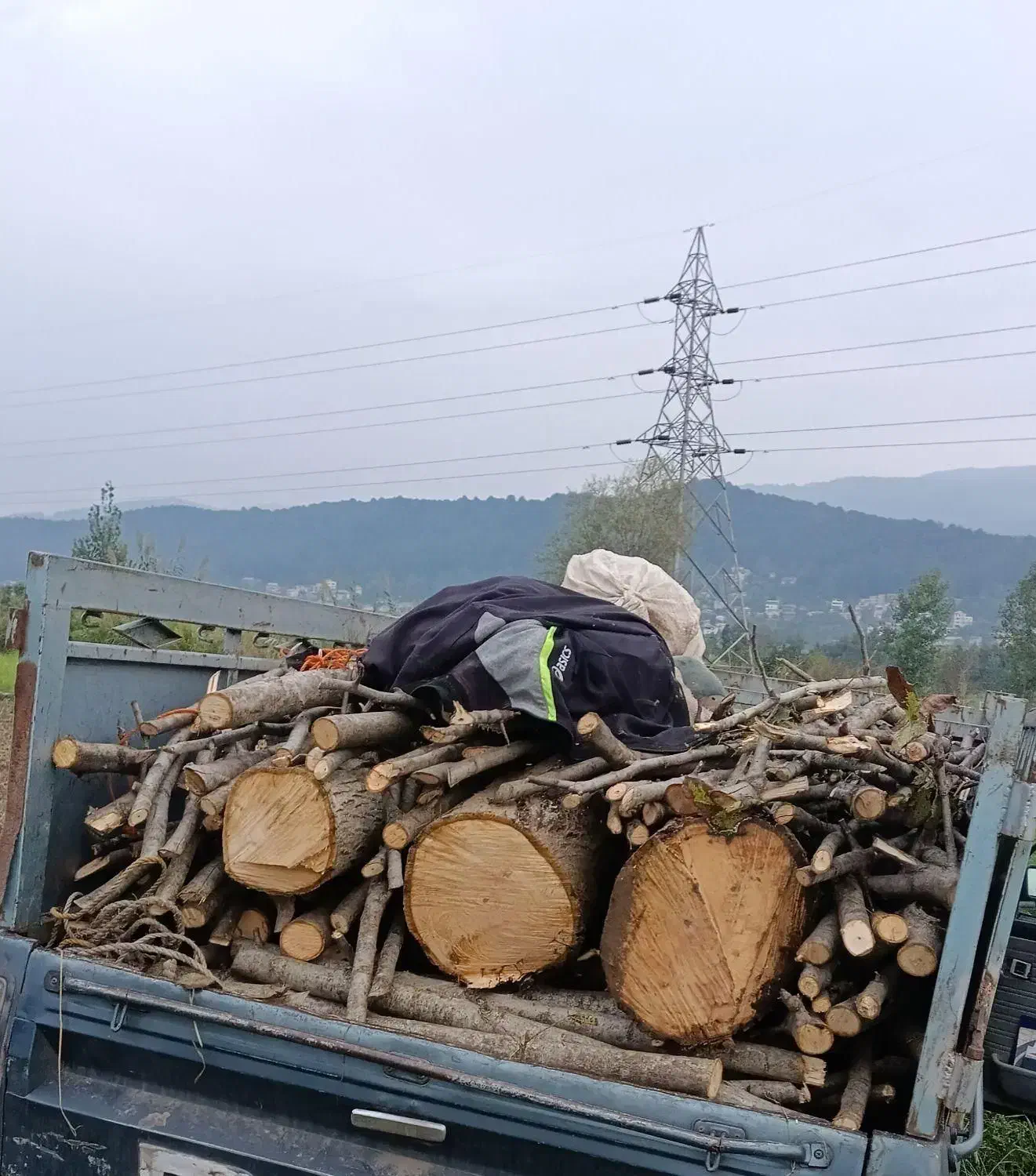 خرید انواع چوب های باغی|خدمات باغبانی و درختکاری|قائم‌شهر, |دیوار