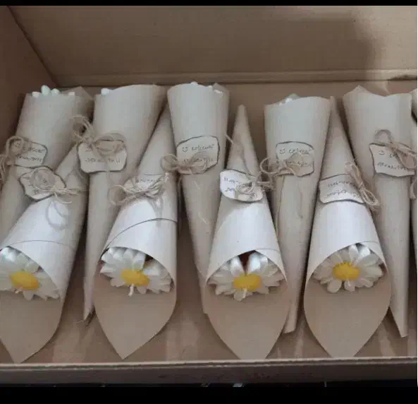 باکس گل|گل و گیاه طبیعی|نیشابور, خیام|دیوار