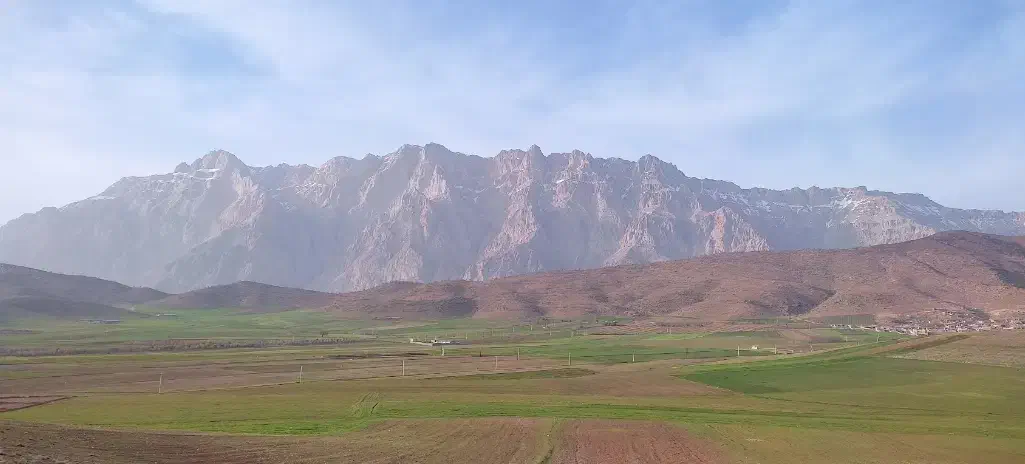 نیروی کار حرفه ای در گلخانه|استخدام صنعتی، فنی، مهندسی|خانمیرزا, |دیوار